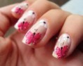 /album/galeria-de-fotos%3a-terapias-servi%c3%a7os-unhas-gel-e-gelinho-manicure-e-pedicure/imgres-53-jpg/